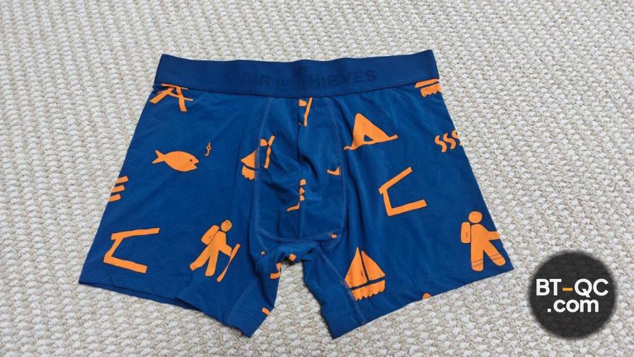 Pair of Thieves Underwear