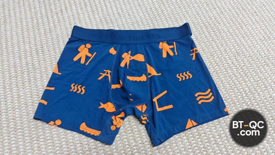 Pair of Thieves Underwear